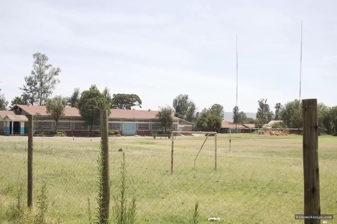 Kisomo Kenya image 4